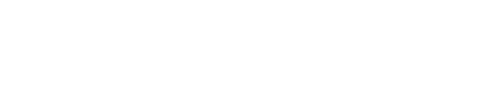 smarteam